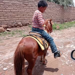 Meet your Posher, Carina